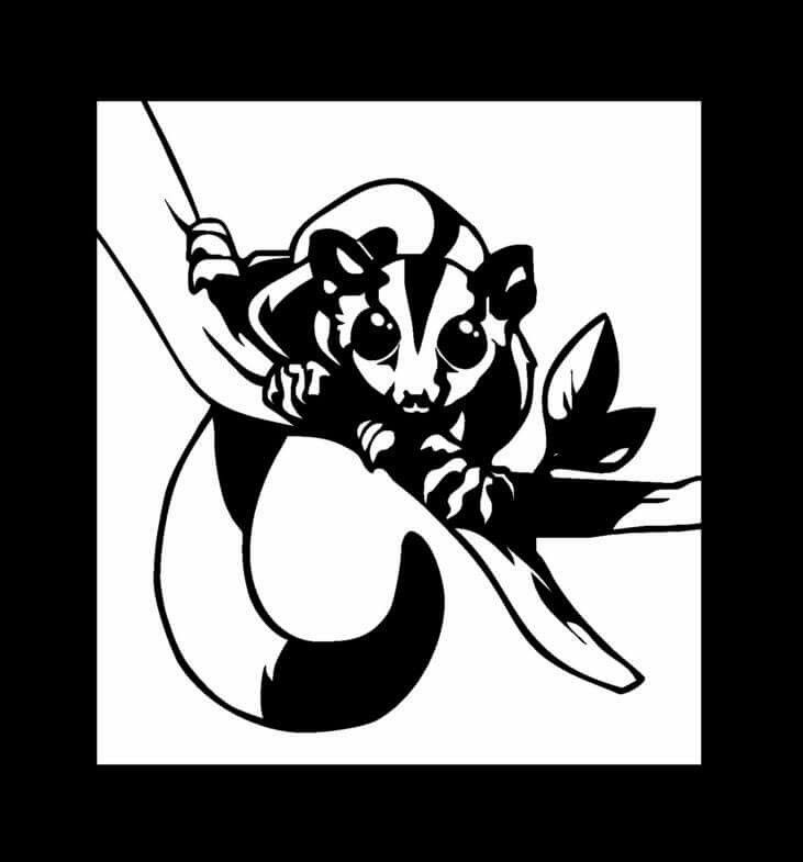 731x785 Sugar Glider Decal I Made! Silhouette Ideas Gliders, Vinyl