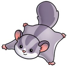 220x220 Sugar Clipart Glider For Free Download And Use Images