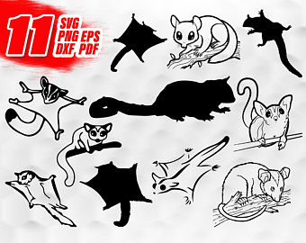 340x270 Sugar Glider Png Etsy