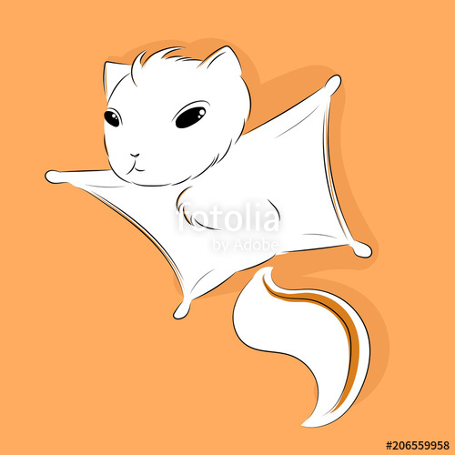 500x500 Sugar Glider Flying Stock Image And Royalty Free Vector