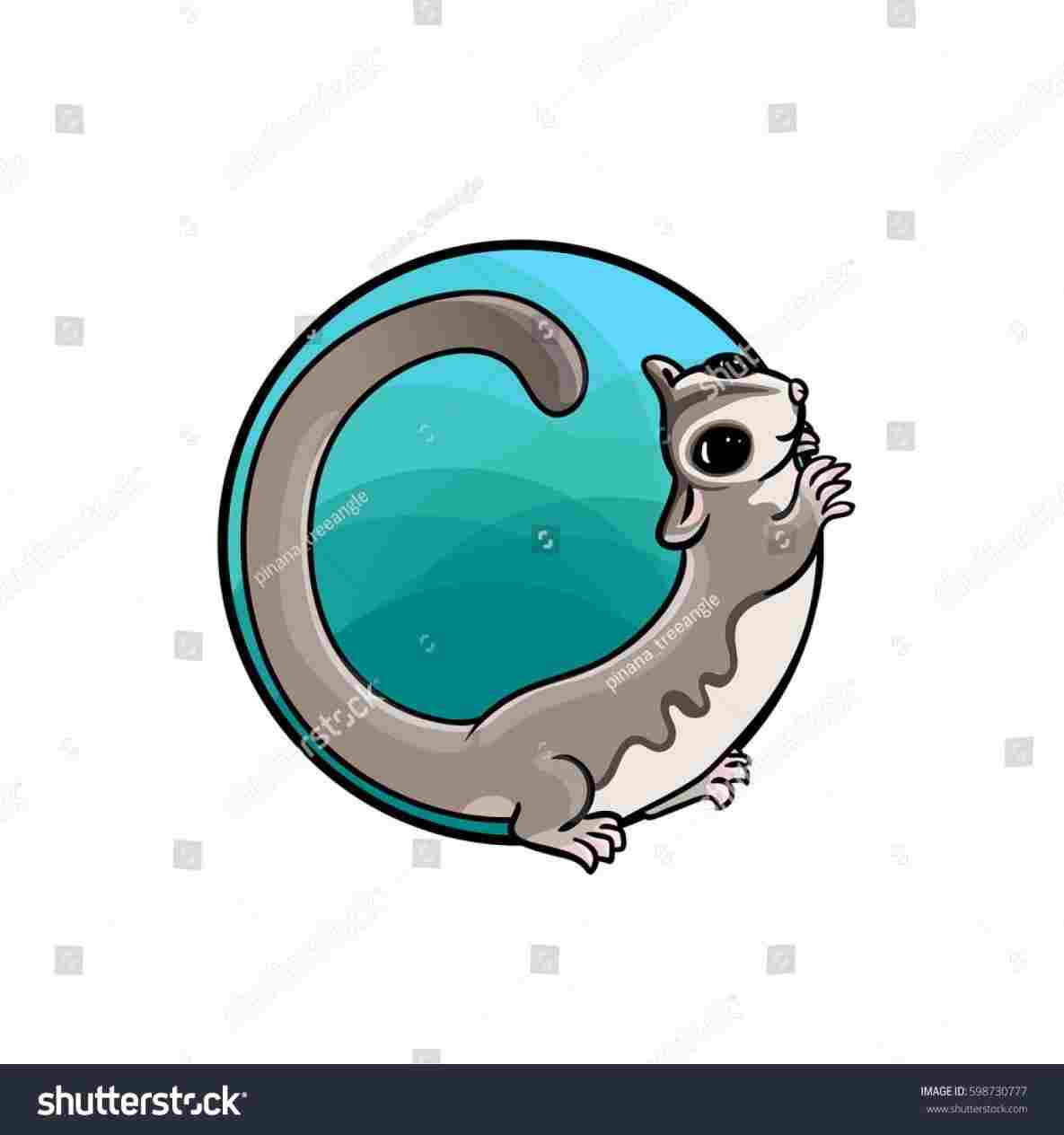 1185x1264 Vector Royalty Free Rhshutterstockcom Funny Cute Sugar Glider