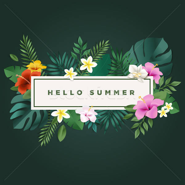 600x600 Hello Summer Vector Illustration For Background, Mobile And Social