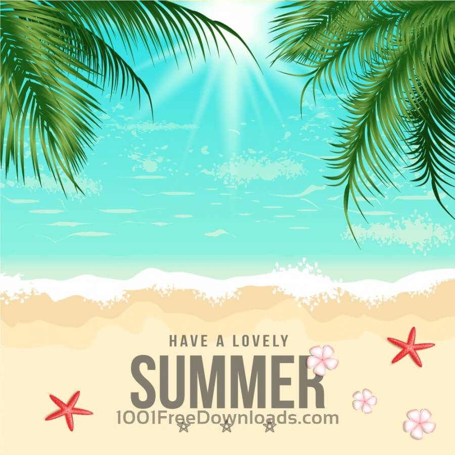 900x900 Free Vectors Summer Beach Vector Illustration Backgrounds