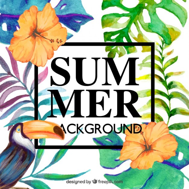 626x626 Beautiful Floral Background For Summer Vector Free Download