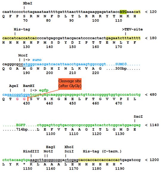 540x589 Protein Expression And Purification Core Facility