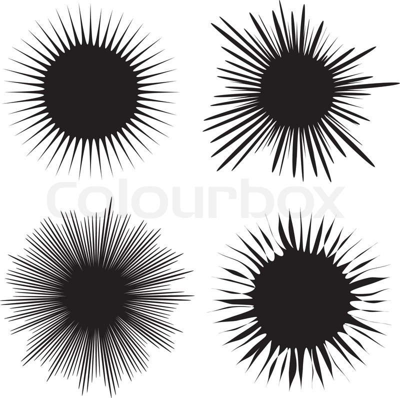 Set Of Sun Vectors In Black Rays Of Stock Vector Colourbox 800x796 Set Of Sun Vectors In Black Rays Of Stock Vector Colourbox