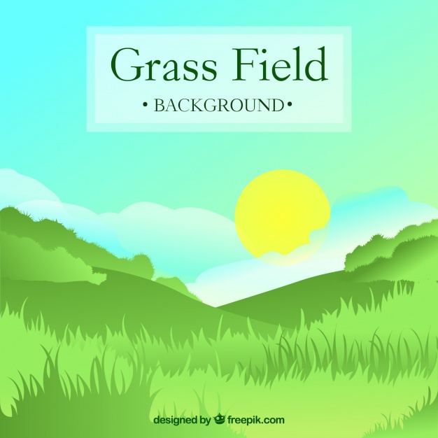 626x626 Fantastic Background With Grass Field And Sun Vector Free