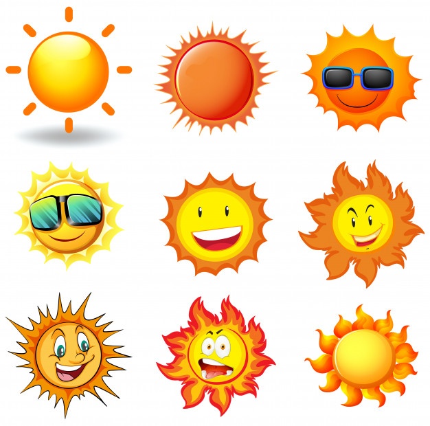 Sun Vector Vectors, Photos And Free Download 626x620 Sun Vector Vectors, Photos And Free Download
