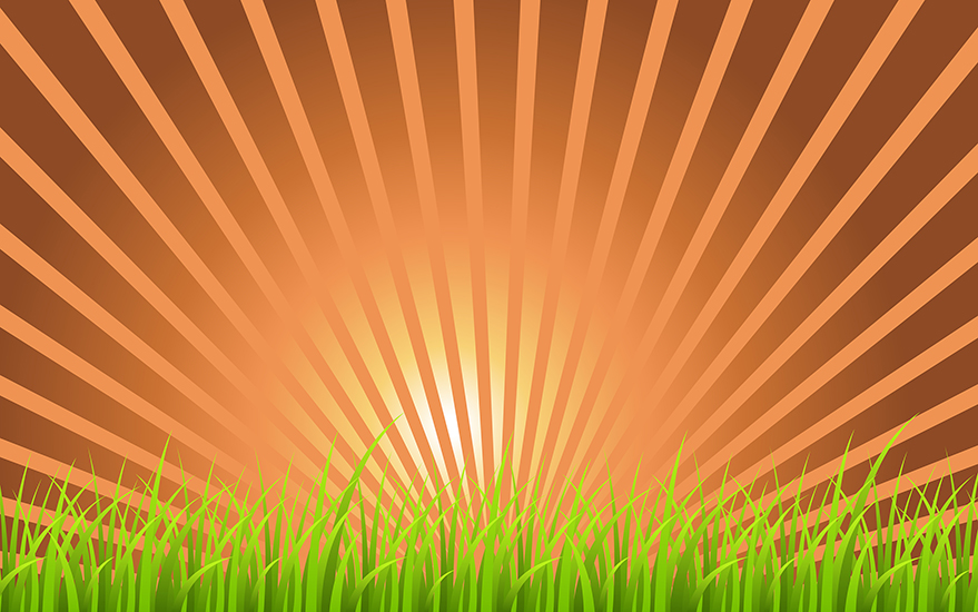 879x550 Download Free Grassline Retro Sunburst Background Vector
