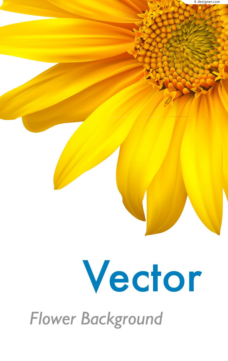 Sunflower Background Vector