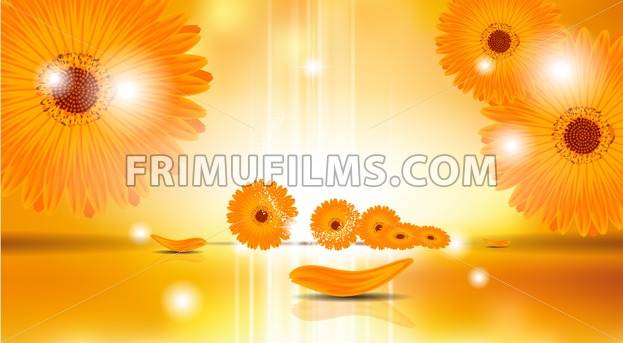 623x343 Digital Vector Sunflowers Background Frimufilms
