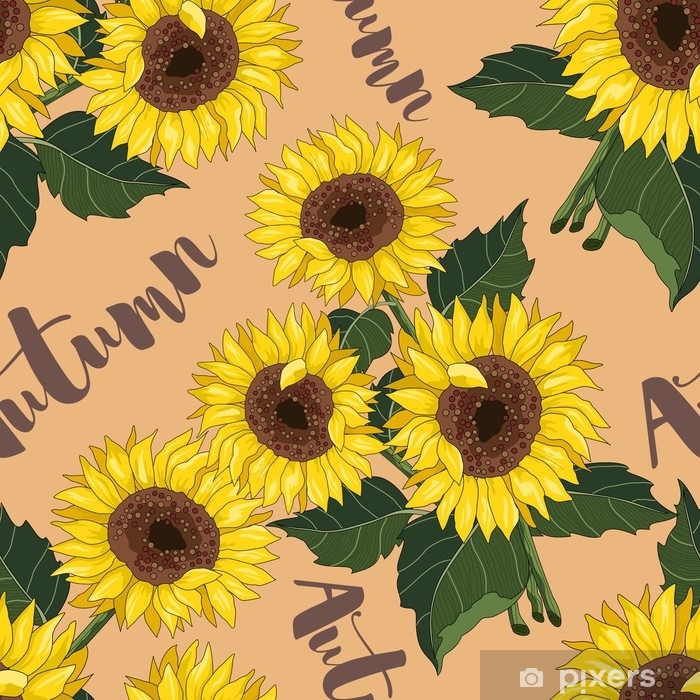 700x700 Seamless Pattern With Sunflowers Beautiful Background Vector