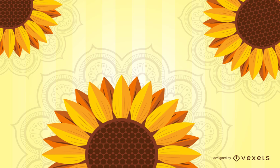 900x541 Spring Sunflower Background