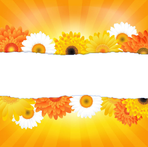 600x597 Sunflower Elements Background Vector Vector Background Free Vector