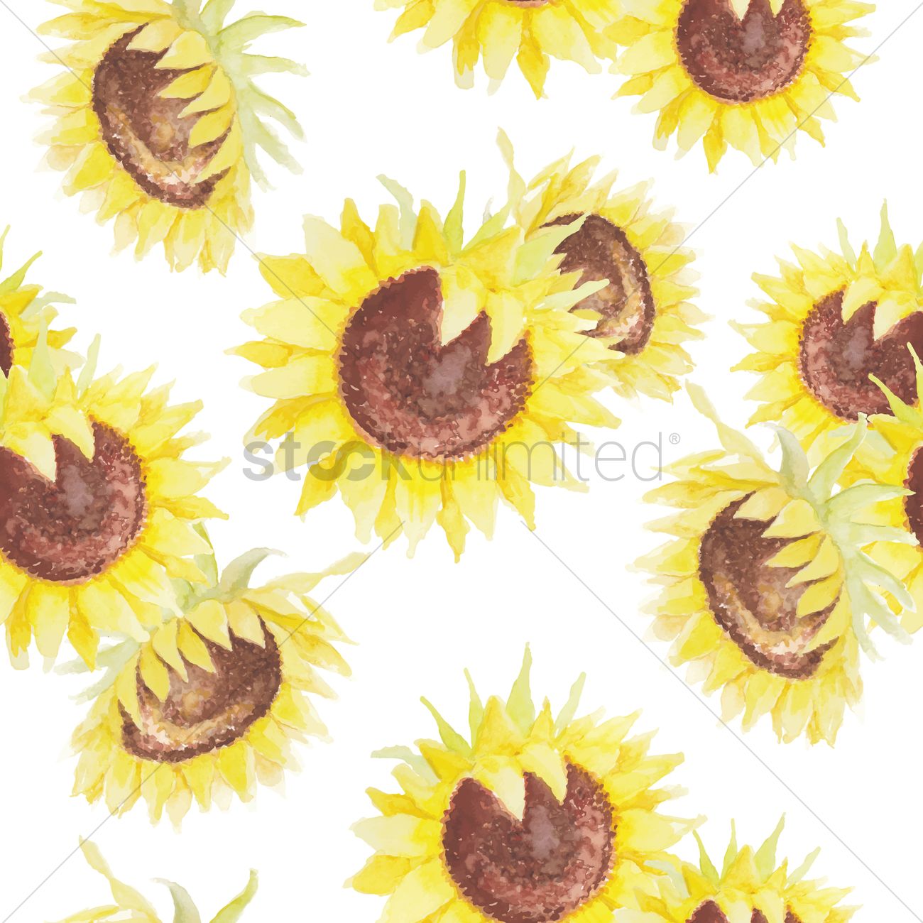 1300x1300 Sunflower Background Vector Image