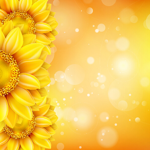 500x497 Sunflower Flower With Bokeh Vector Background Free Download