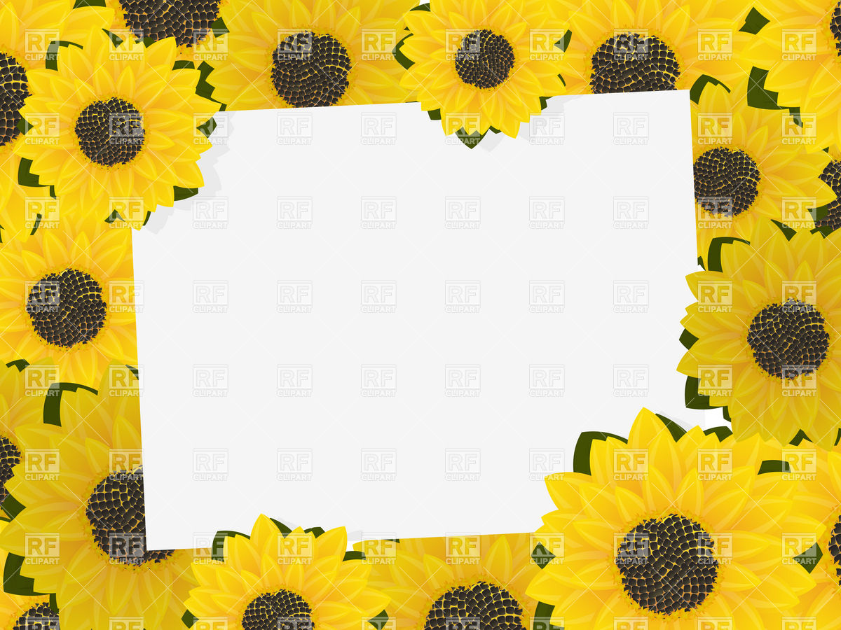1200x900 Sunflower Frame Vector Image Of Plants And Animals Lirch