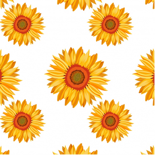 Sunflower Background Vector at Vectorified.com | Collection of ...