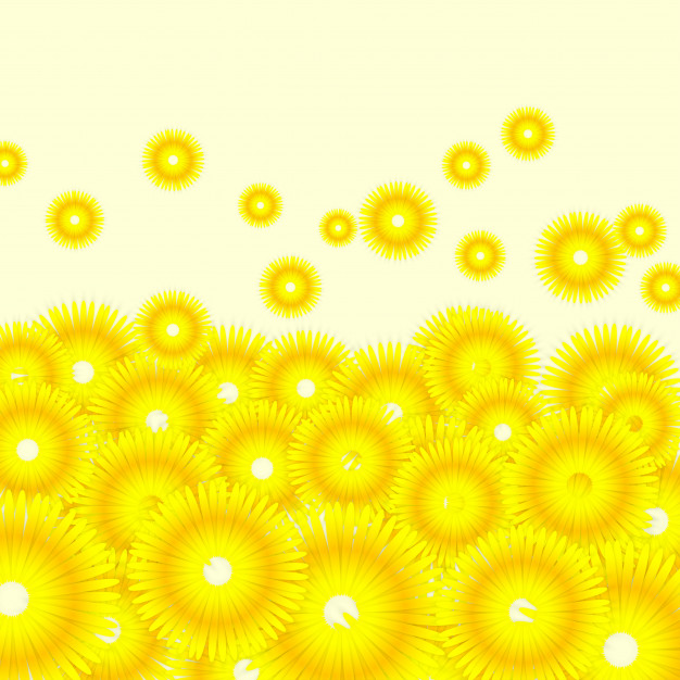 626x626 Sunflowers Background Vector Premium Download