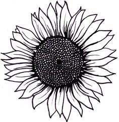 236x243 Sunflower Clipart Black And White