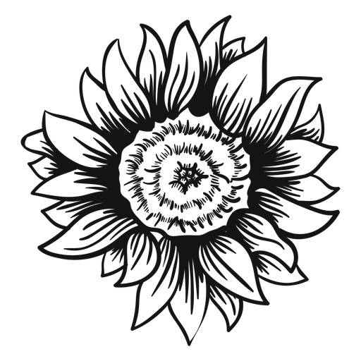 Download Sunflower Black And White Vector at Vectorified.com ...