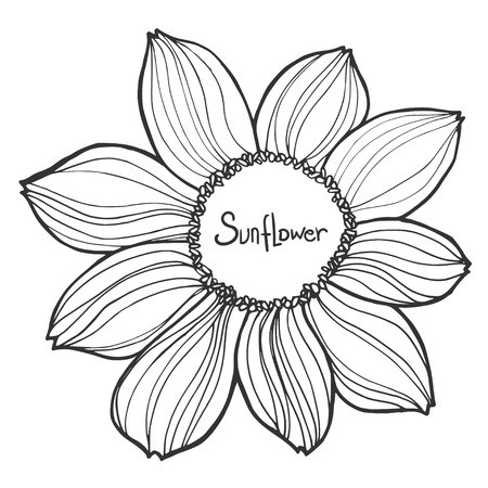 450x450 Beautiful Black And White Vector Sunflower Isolated On White