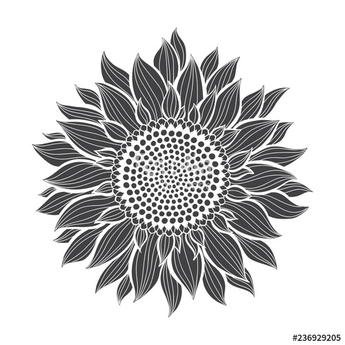 Free Free 151 Sunflower Clipart Black And White Svg SVG PNG EPS DXF File