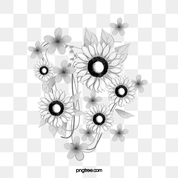 360x360 White Sunflower Png Images Vector And Free Download
