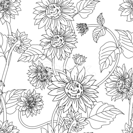 440x440 Black White Sunflower Garden Seamless Pattern Stock Vector