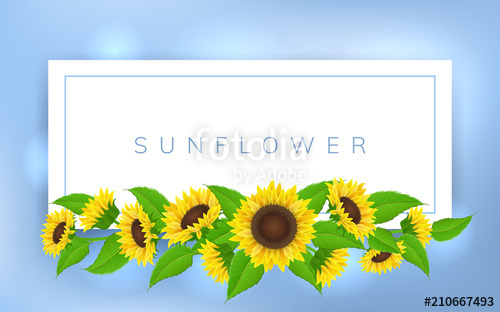 Horizontal Banner Frame With Yellow Sunflower And Green Leaf 500x312 Horizontal Banner Frame With Yellow Sunflower And Green Leaf