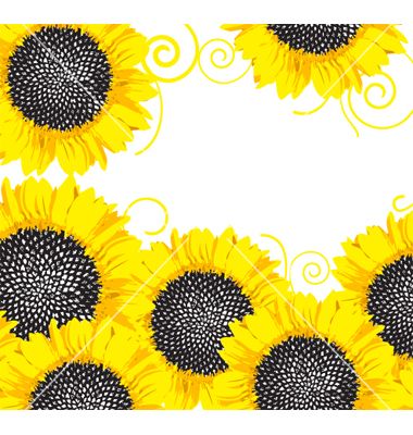 Sunflower Border Vector +by+valru On Vectorstock 380x400 Sunflower Border Vector +by+valru On Vectorstock