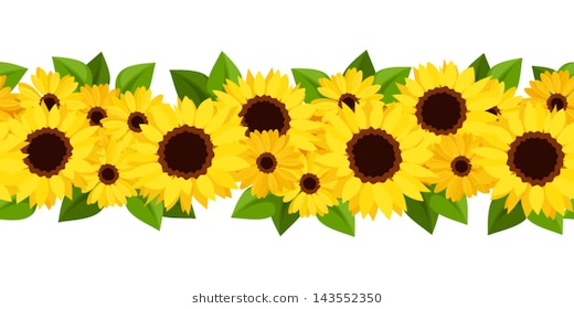 Sunflower Clipart Border 520x280 Sunflower Clipart Border