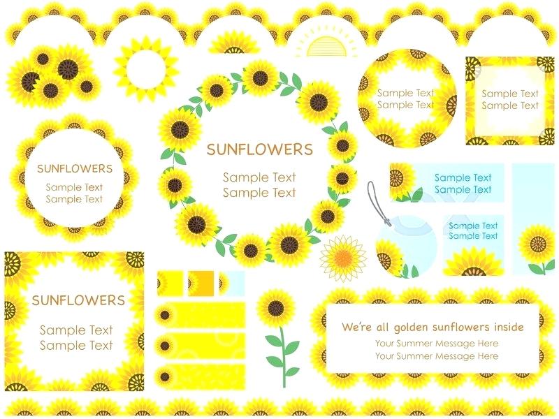 Sunflower Picture Frames A Set Of Various Vector Borders And Tags 800x600 Sunflower Picture Frames A Set Of Various Vector Borders And Tags