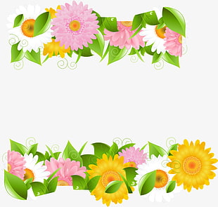 Download Sunflower Border Vector at Vectorified.com | Collection of ...