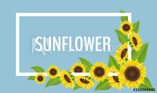 Sunflower Frame With Corner Flower Decoration, With Leaf, On Blue 500x297 Sunflower Frame With Corner Flower Decoration, With Leaf, On Blue