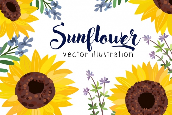 Vector Sunflowers For Free Download 551x368 Vector Sunflowers For Free Download