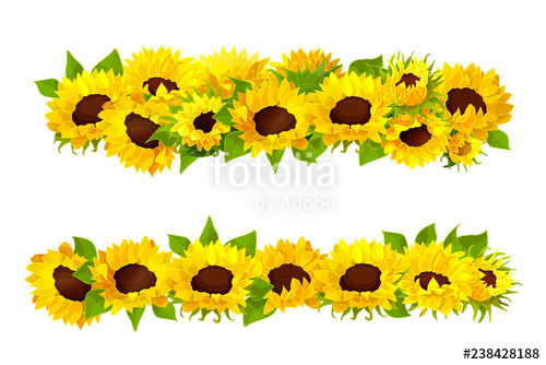 Vector Sunflower Seeds Frame Stock Image And Royalty Free Vector 500x334 Vector Sunflower Seeds Frame Stock Image And Royalty Free Vector