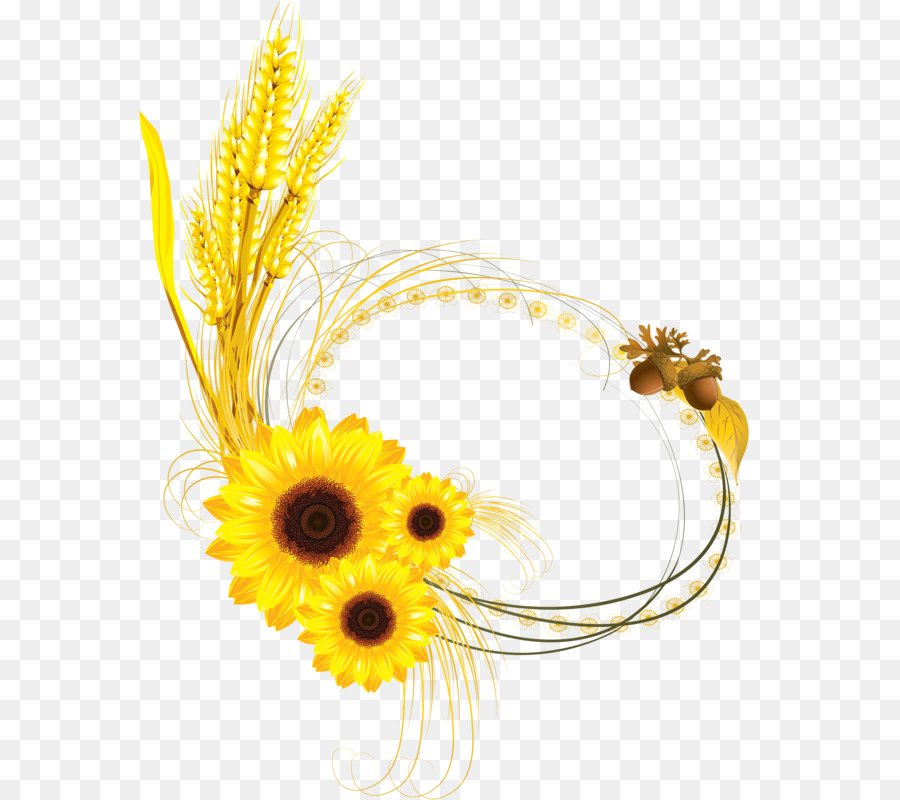 Common Sunflower Euclidean Vector Clip Art 900x800 Common Sunflower Euclidean Vector Clip Art