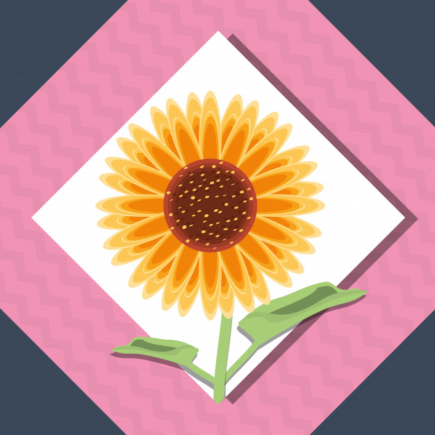 Sunflower Icon Vector