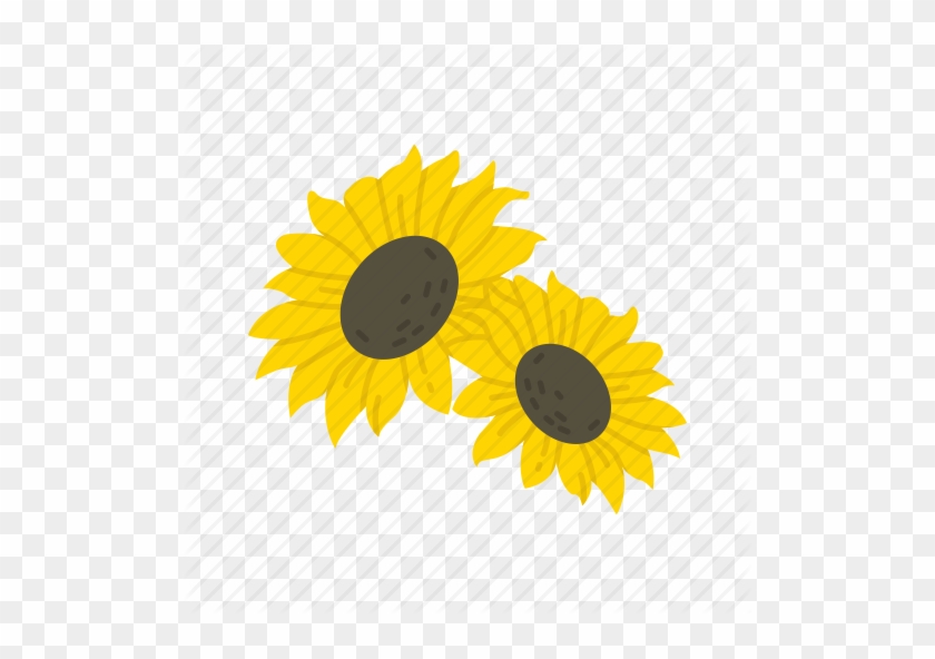 Sunflower Icon In Flat Style Stock Vector 840x592 Sunflower Icon In Flat Style Stock Vector