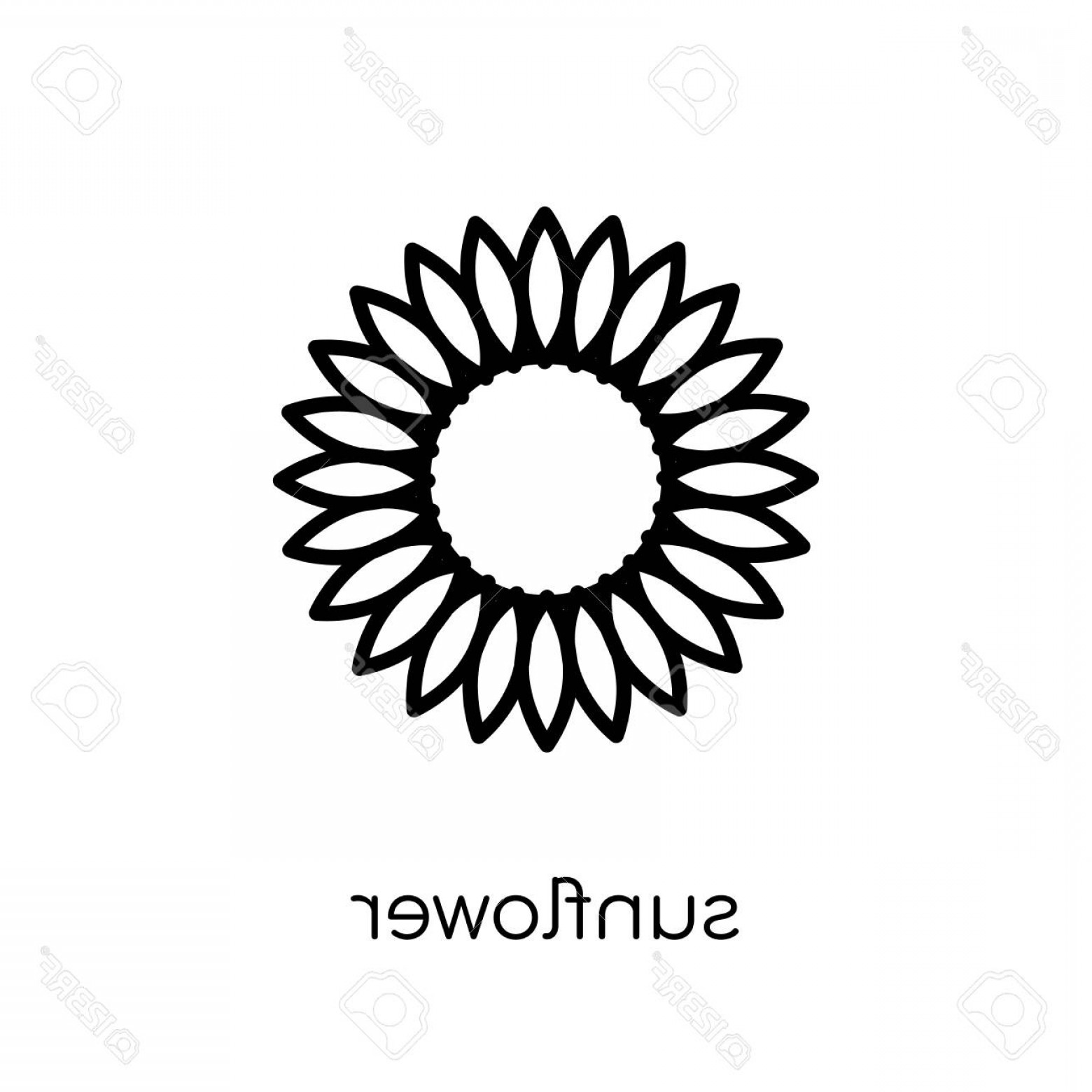 Sunflower Outline Vector Catchsplace 1560x1560 Sunflower Outline Vector Catchsplace