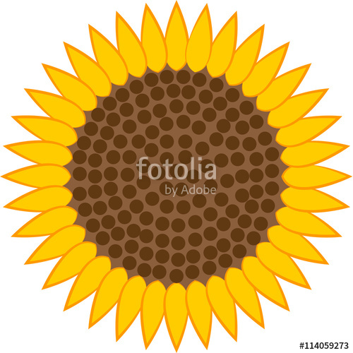 Sunflower Icon Vector Stock Image And Royalty Free Vector 500x500 Sunflower Icon Vector Stock Image And Royalty Free Vector