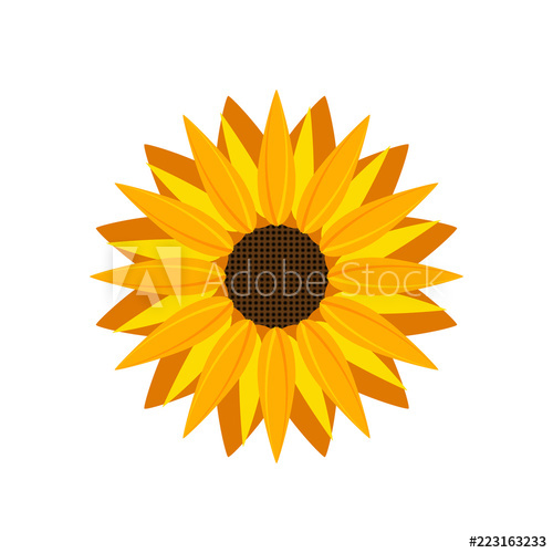 Sunflower Icon Vector Isolated Yellow Sunflower Blossom Nature 500x500 Sunflower Icon Vector Isolated Yellow Sunflower Blossom Nature