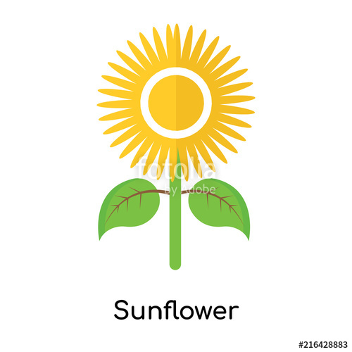 Sunflower Icon Vector at Vectorified.com | Collection of Sunflower Icon ...