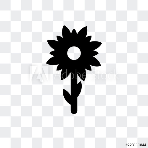 Sunflower Icon Isolated On Transparent Background Modern 500x500 Sunflower Icon Isolated On Transparent Background Modern