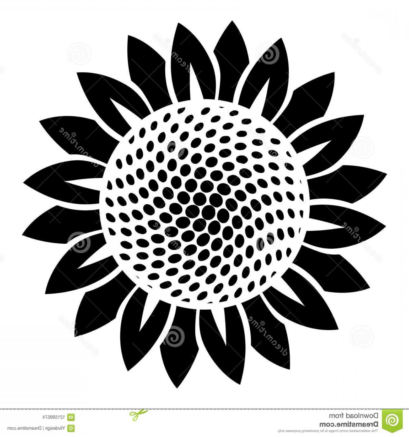 Sun Flower Vector Catchsplace 1560x1668 Sun Flower Vector Catchsplace