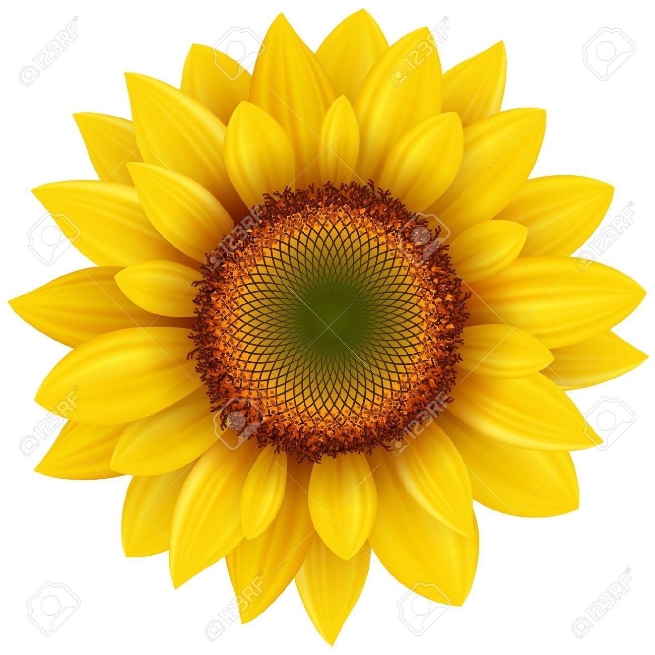 Stock Vector Tattoo Ideas Sunflower Tattoos, Sunflower Images 1300x1300 Stock Vector Tattoo Ideas Sunflower Tattoos, Sunflower Images