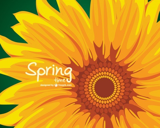 Sunflower Illustration Free Vector 626x500 Sunflower Illustration Free Vector