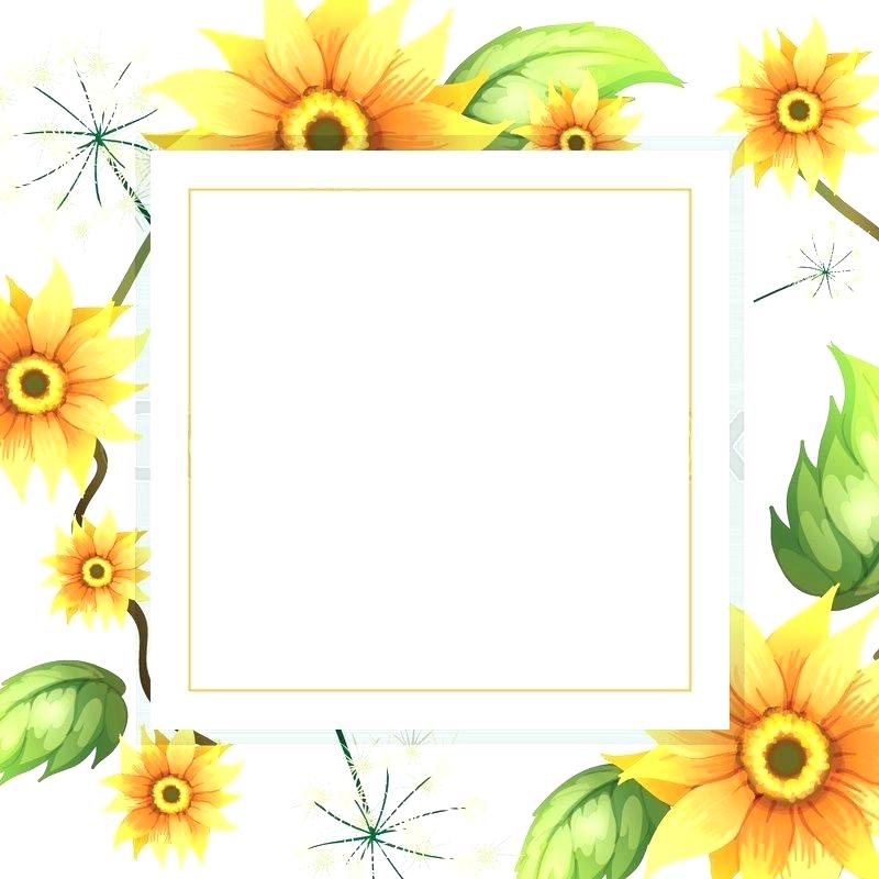 Sunflower Picture Frames Frame A Beautiful Illustration Vector 800x800 Sunflower Picture Frames Frame A Beautiful Illustration Vector