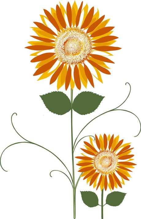 Digital Vector Sunflower Layered Flower 460x714 Digital Vector Sunflower Layered Flower